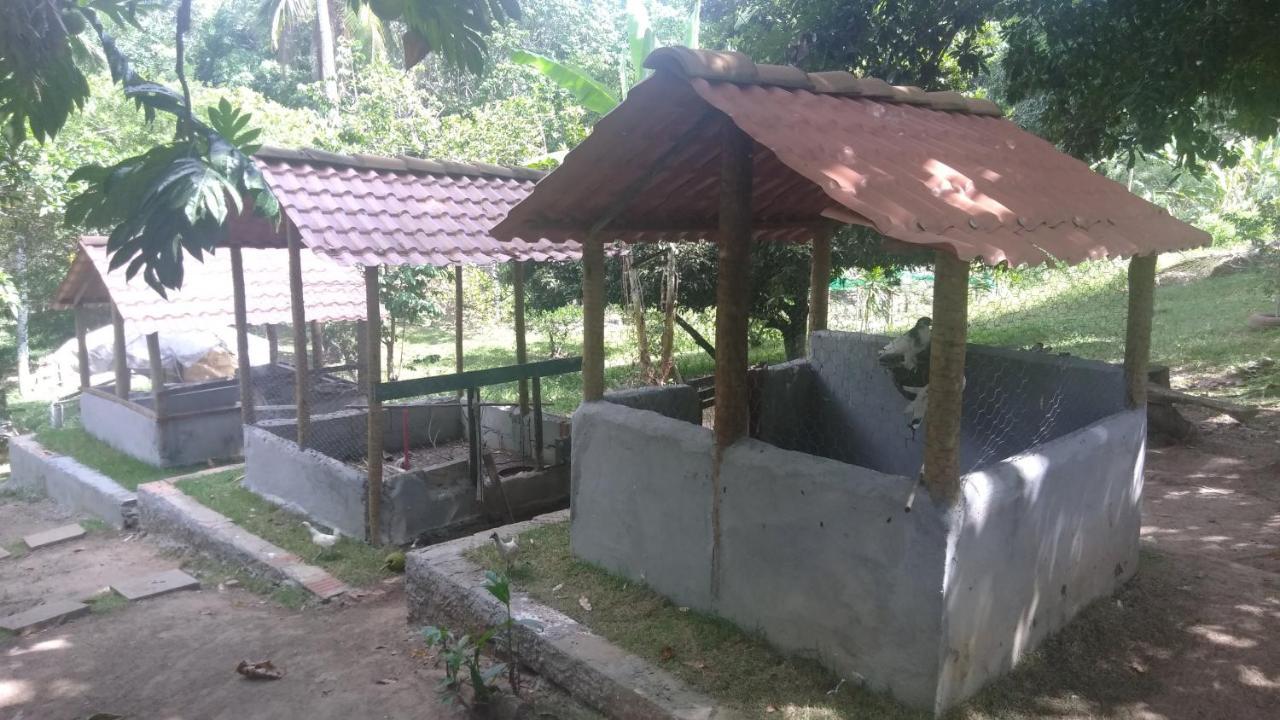 Hotel Fazenda Agua Da Prata Agri Turismo Camaçari Exterior foto